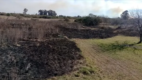 Bomberos evitaron que un incendio de campo alcanzara una vivienda en el oeste de Concepción del Uruguay