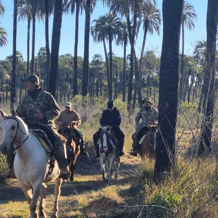 Realizaron un operativo conjunto en el Parque Nacional El Palmar para prevenir la caza furtiva